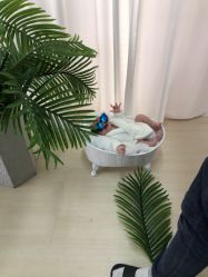 -小熊维尼高端儿童摄影(宝安旗舰店)