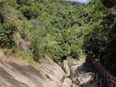 -广州白江湖森林公园