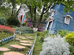 -铁山坪森林公园