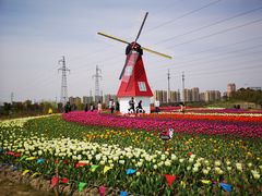 -菊园百果园