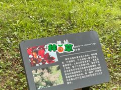 -国家植物园南园