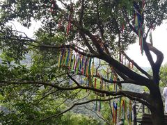 -宁波五龙潭景区