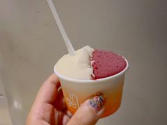 旺旺仙贝-DIP in GELATO(富民路店)