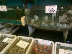八爪-海岛渔村大酒店(云霄路店)