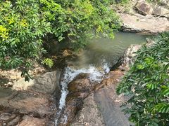 -东莞市大岭山森林公园