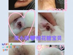 -宠小格时尚宠物生活馆(唐镇店)