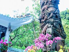 -广州市白云山风景名胜区