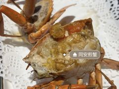 -鑫悦楼煎蟹·16年海鲜大排档