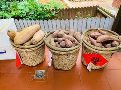 -杨厝六十六农庄农舍(杨厝路店)