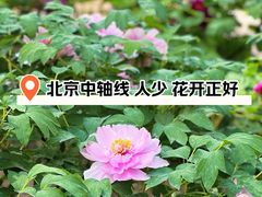 -北京市劳动人民文化宫(太庙)