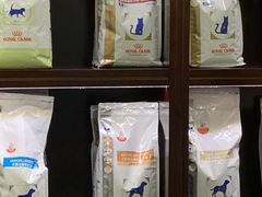 -宠爱国际动物医院·消化内科·心肾内科·ISFM猫友好(望京店)