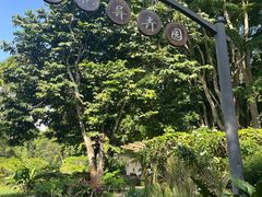 -中国科学院西双版纳热带植物园