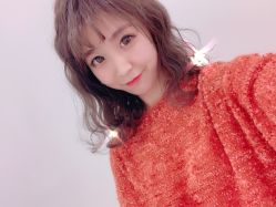 -大象造型