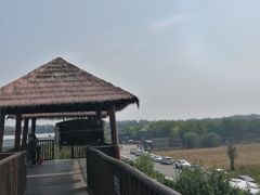 -呀路古热带植物园