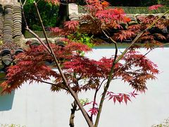 -浮庄