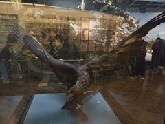 -陕西自然博物馆