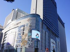 -乐天免税店(明洞店)
