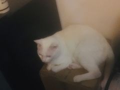 -Doors独立剧情密室(东门分店)