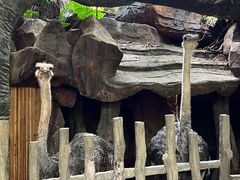 -长鹿旅游休博园