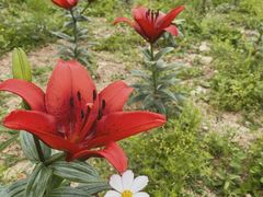 -漩门湾国家湿地公园