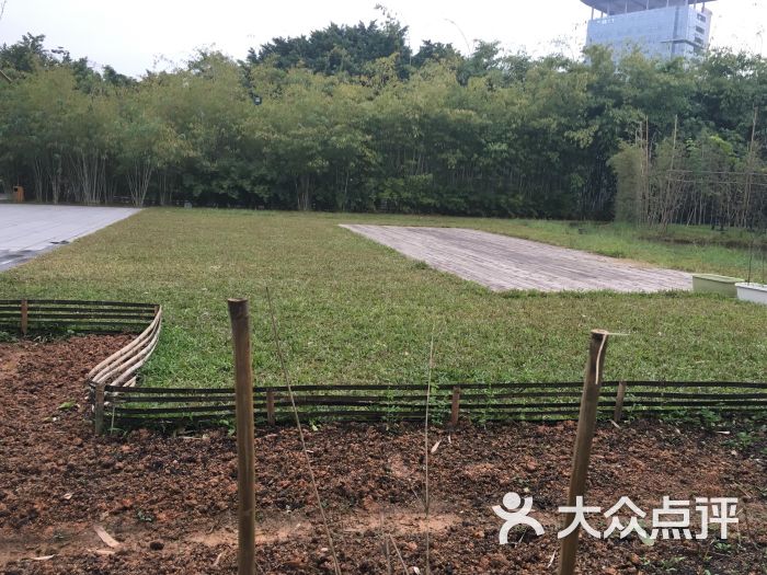 紫荆会-图片-深圳美食-大众点评网