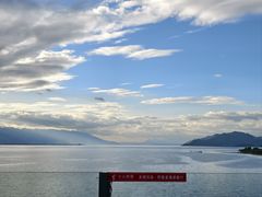 -野菌皇海景野生菌火锅(滨海大道店)