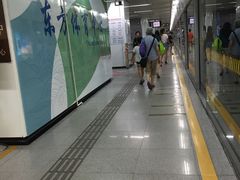 -东方体育中心(地铁站)