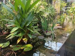 -肴约·花园式餐厅(湖里店)