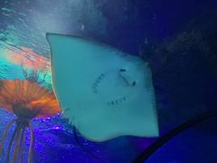 -沈阳海洋探索中心