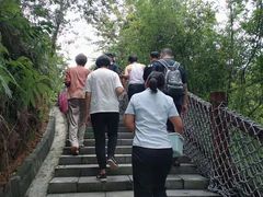 -广州白江湖森林公园