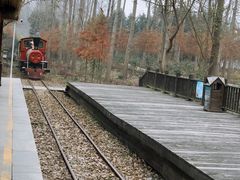 -合肥滨湖国家森林公园