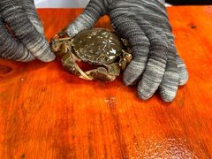 -阳澄湖大闸蟹·琼灵阁牌品牌连锁(吴中总店)