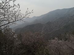 -北京鹫峰国家森林公园