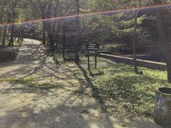 -金龙寺国家森林公园