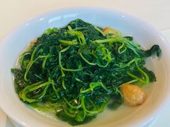 上汤蒜子泡苋菜-利苑酒家(金宝店)
