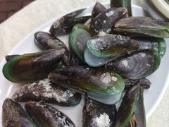 -锐记美食店·现捞海鲜(闸坡店)
