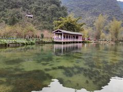 -靖西鹅泉风景区