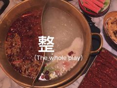 -杨家火锅(国美店)