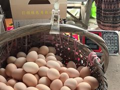 -马陆小张葡萄园农家乐