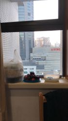 -中国福利会国际和平妇幼保健院(徐汇院区)