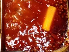 红汤锅底-海底捞火锅(金光华店)