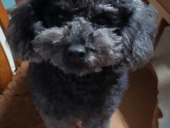 -派特宠物医院(圆融广场店)