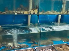 水产区-1910老鲁味海鲜·戳子肉·青岛菜(金沙滩店)