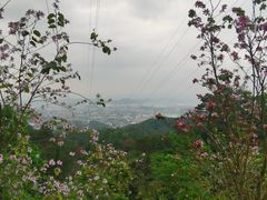 -白云山风景名胜区