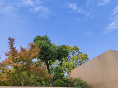 -羊山湖公园