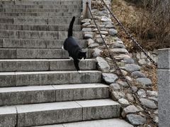 -北京凤凰岭