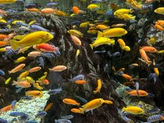 -太平洋海底世界