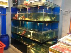 水产区-美味海鲜大排档(明发美食地标店)