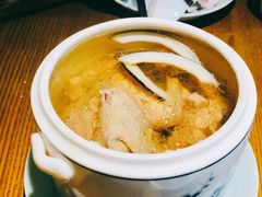 印度椰皇炖老鸽（小鼎）-大鸽饭(岗顶店)