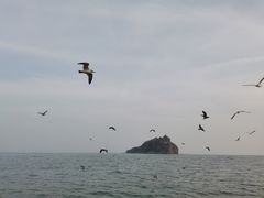-棒棰岛宾馆景区